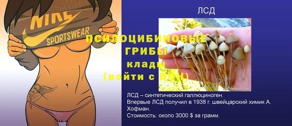 гашик Армянск