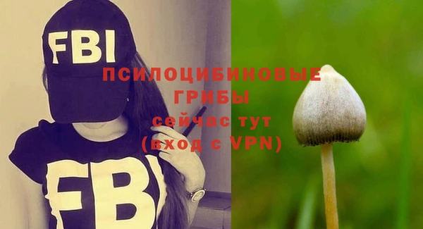 гашик Армянск
