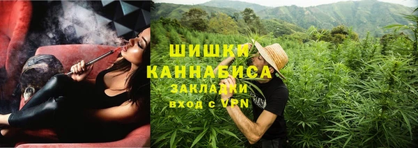 PSILOCYBIN Гусиноозёрск