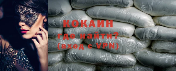 гидра Гусев